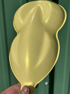 Tamco Paint  Boston Cream Pearl speed shape