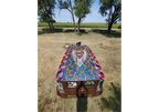 Courage Red Customize car roof
