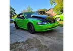 Tamco Paint  Toxic Waste 2000 Ford Mustang