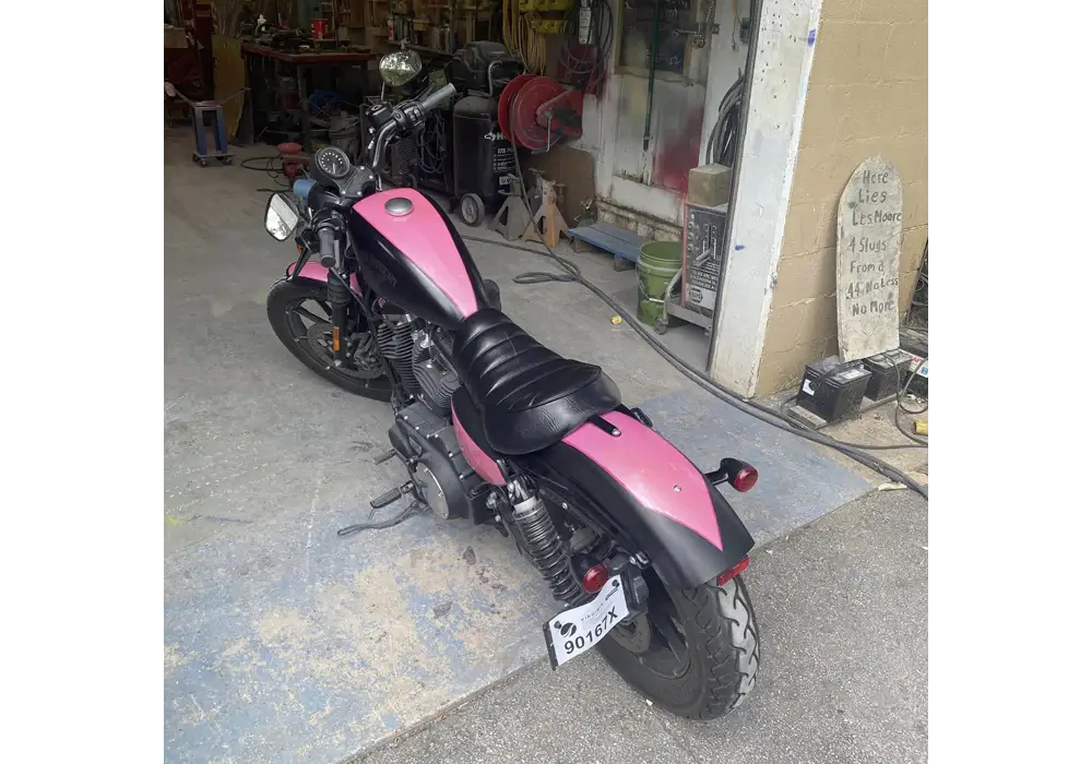 Tamco Paint  Pretty In Pink Harley Davidson Sportser