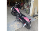 Tamco Paint  Pretty In Pink Harley Davidson Sportser