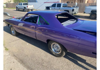 Tamco Throwback Plum Crazy