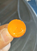 Monarch Orange 