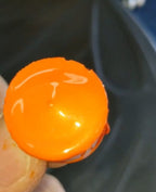 Monarch Orange