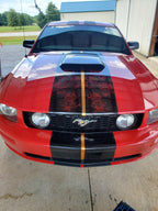 Tamco Paint Ford Mustang OG Red