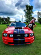 Tamco Paint Ford Mustang OG Red