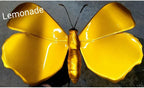 Candy Concentrate Variety Lemonade