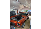 Tiger Orange