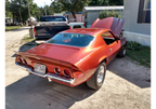 Tiger Orange