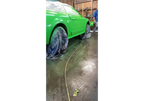 Tamco Paint  toxic waste Ford Mustang