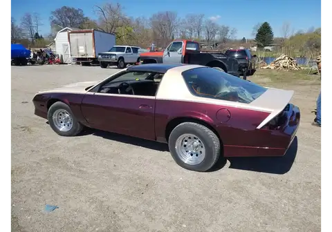 Ron Burgundy Pearl