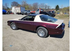 Ron Burgundy Pearl