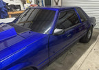 DTM Primer Kit