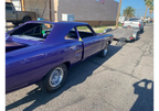 Tamco Throwback Plum Crazy