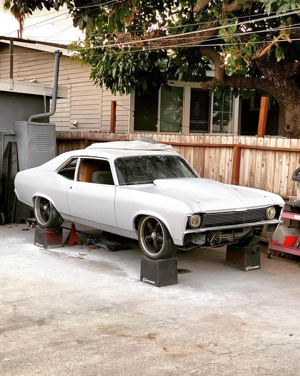 DTM Primer Kit