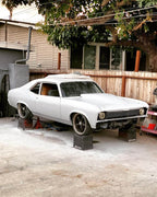 DTM Primer Kit