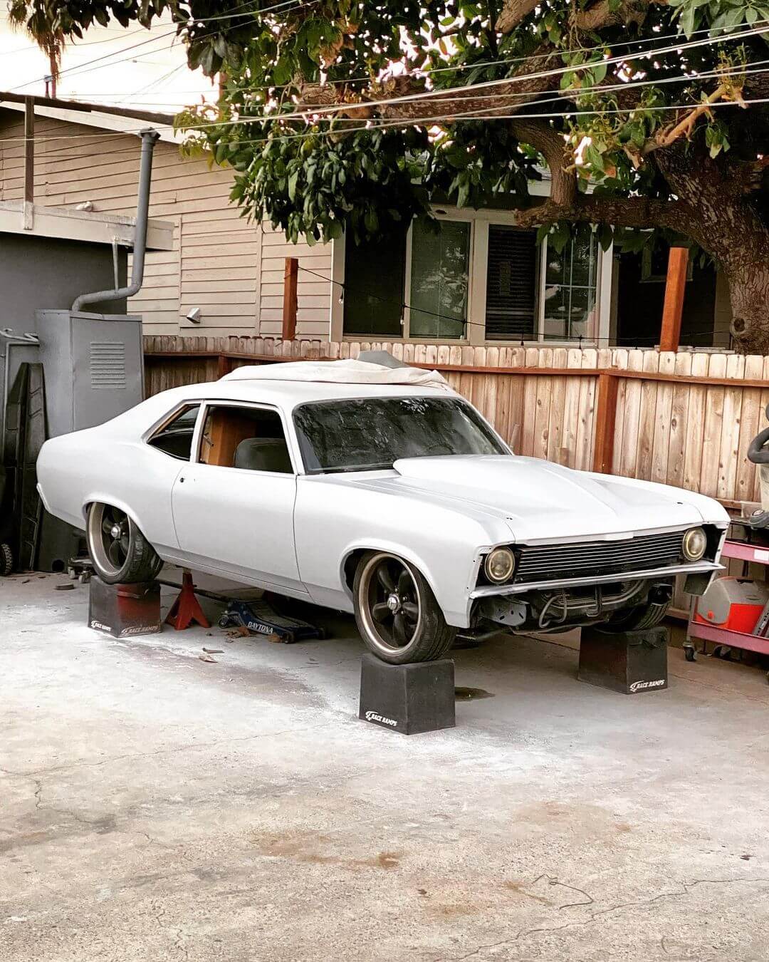 DTM Primer Kit