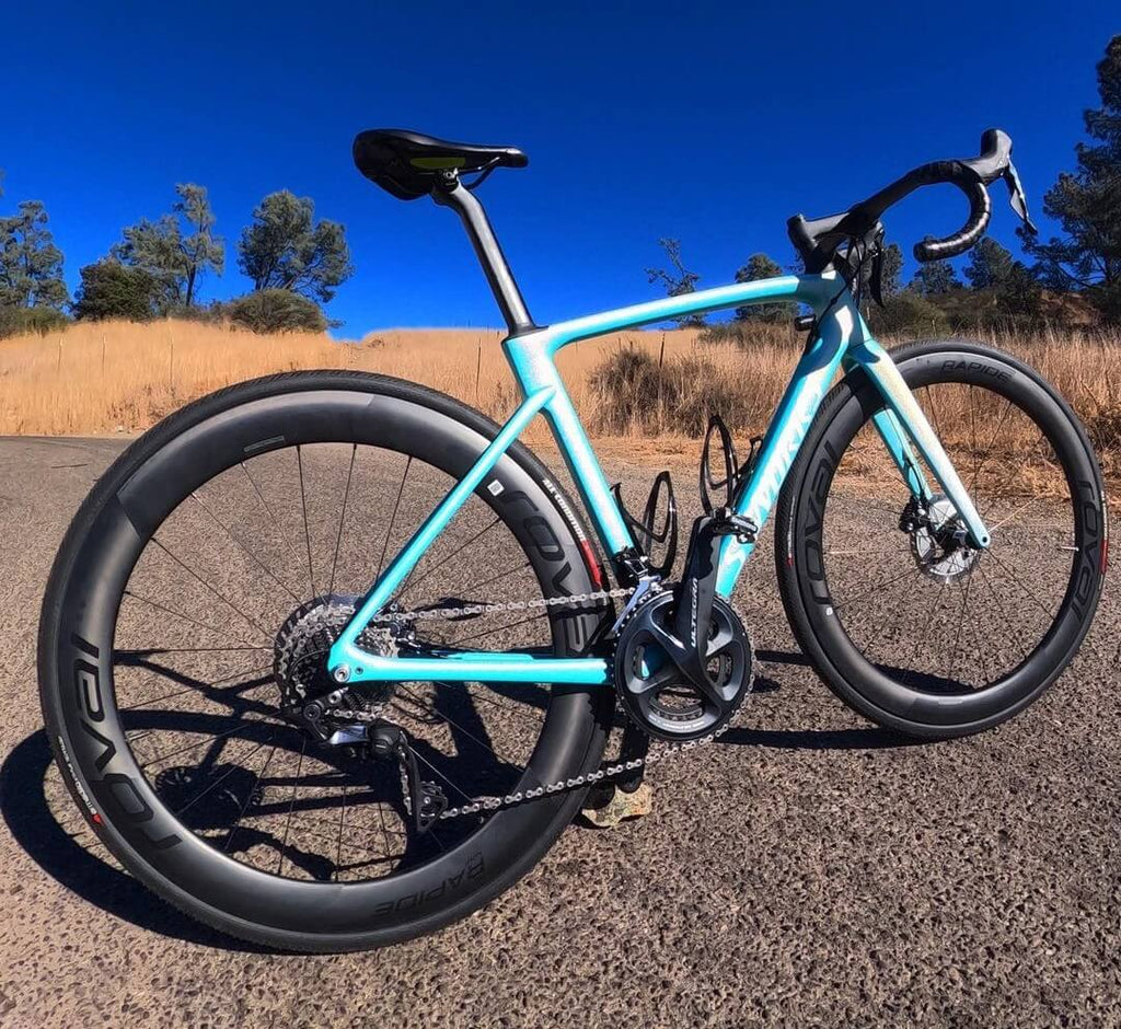 Tamco Paint Bicycle Rockin Robin 