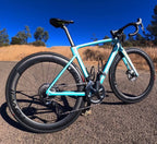 Tamco Paint Bicycle Rockin Robin 