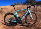 Tamco Paint Bicycle Rockin Robin 