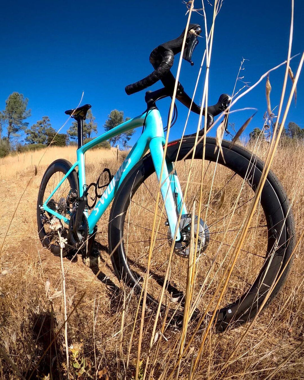 Tamco Paint Bicycle Rockin Robin 