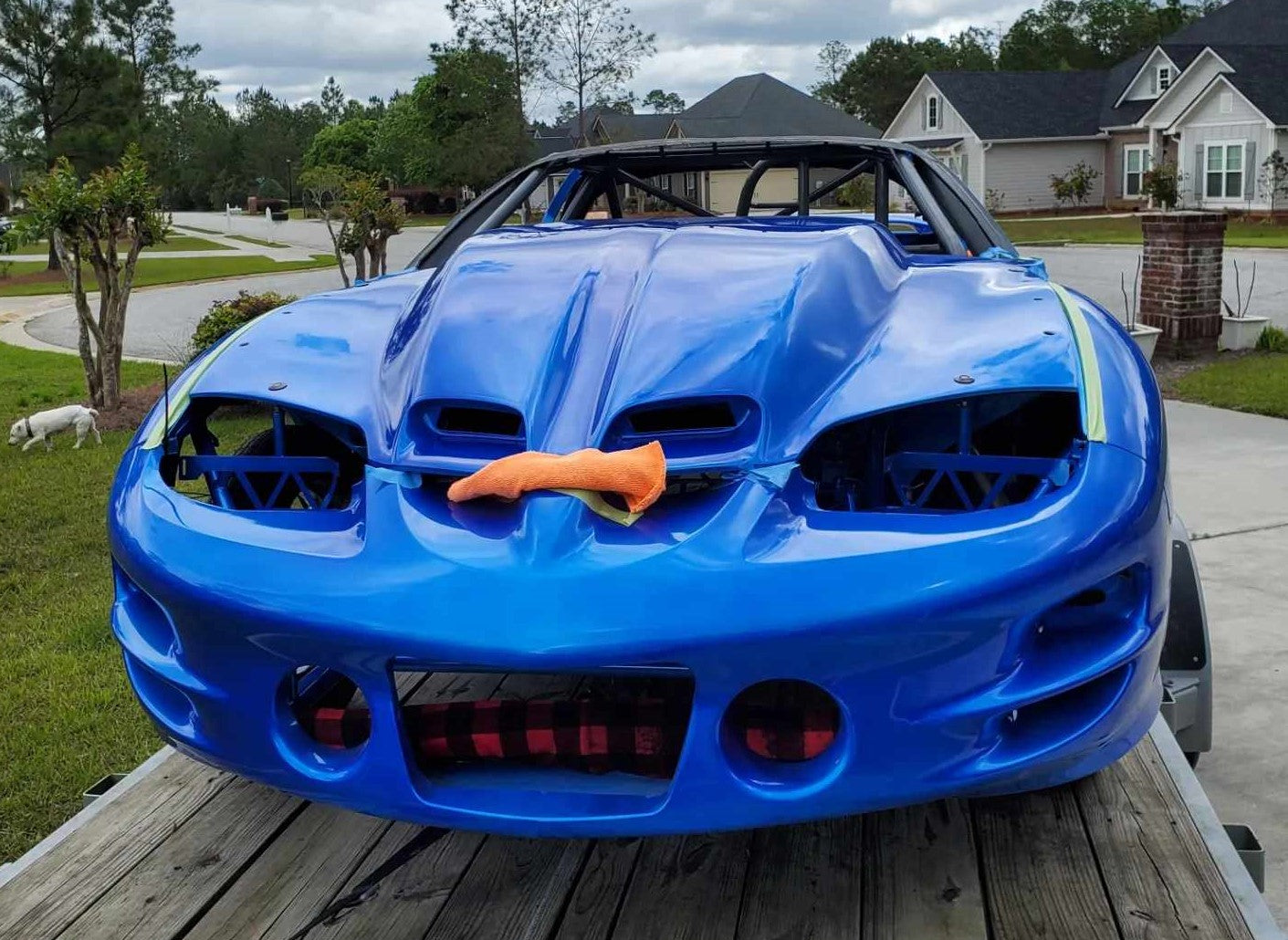 My Boy Blue