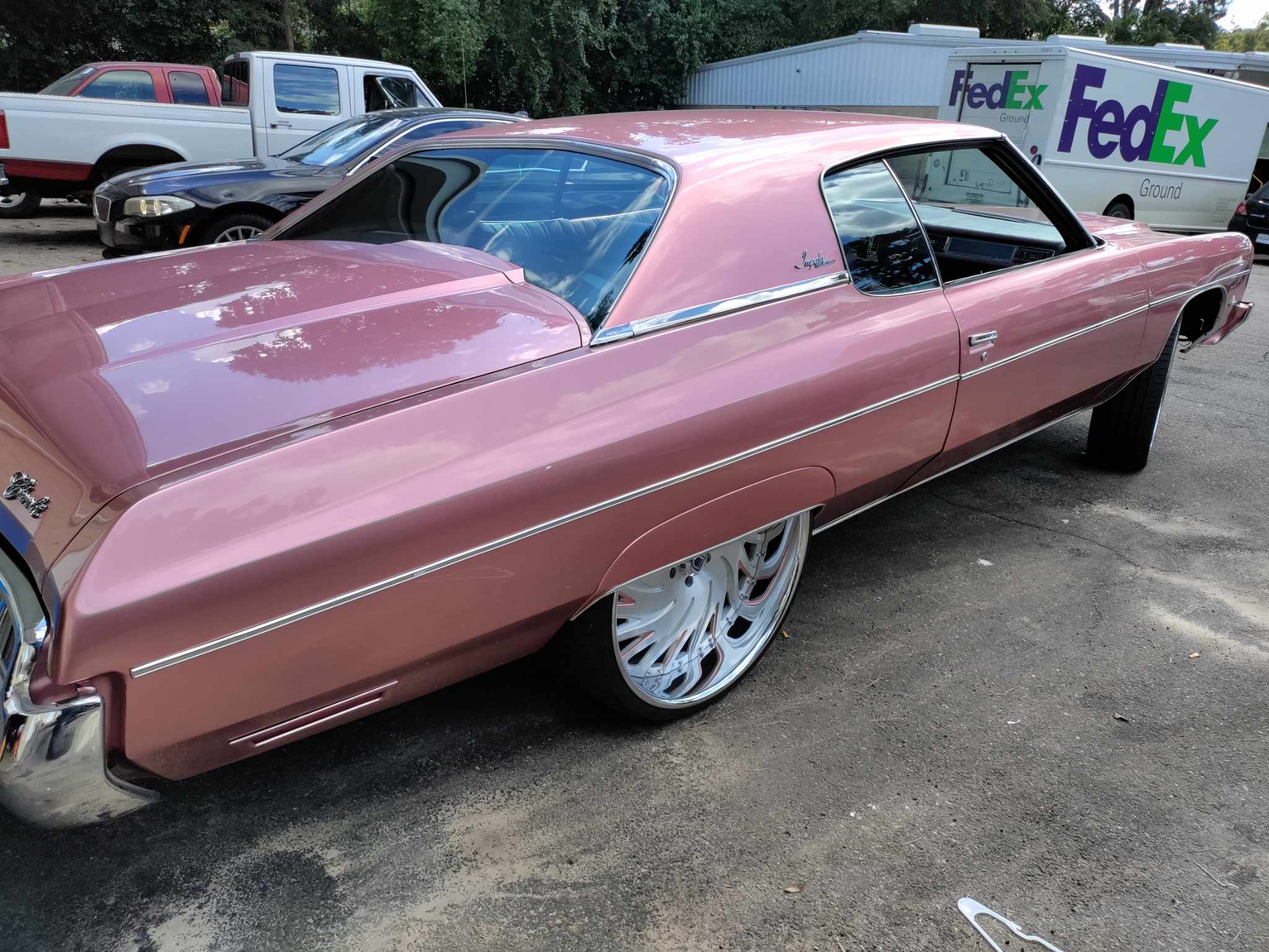 Rose Gold