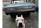 GM Argent Silver Metallic | 2779 | 1968;1977 | OEM Basecoat