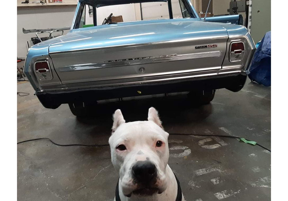 GM Argent Silver Metallic | 2779 | 1968;1977 | OEM Basecoat