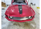 Rock-It-Red