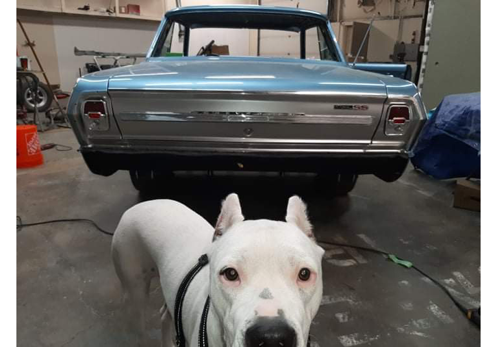 GM Argent Silver Metallic | 2779 | 1968;1977 | OEM Basecoat