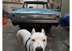 GM Argent Silver Metallic | 2779 | 1968;1977 | OEM Basecoat