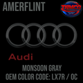 Tamco Paint Audi Monsoon Gray OEM Color Code: LX7R / 0C Amerflint