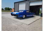 Tamco Paint Blazin Blue Project Photos