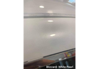 Tamco Paint Blizzard of Ozz Blue Pearl Project Photos
