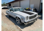 Tamco Paint Blizzard of Ozz Blue Pearl Project Photos