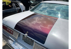 Tamco Paint Blizzard of Ozz Blue Pearl Project Photos