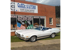 Tamco Paint Blizzard of Ozz Blue Pearl Project Photos
