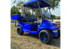 Tamco Paint Blue Nitrous