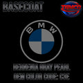 BERNENIA GRAY PEARL OEM BASECOAT
