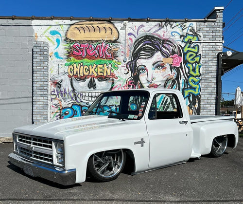 Tamco Paint Blizzard of Ozz White Pearl on Chevrolet C10