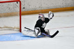 Tamco Paint Blizzard of Ozz White Pearl on Hockey Helmet