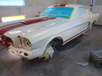 Tamco Paint Blizzard of Ozz White Pearl on Ford Mustang