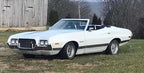 Tamco Paint Blizzard of Ozz White Pearl in 1972 Ford Gran Torino