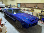 Tamco Paint Bluetiful on 1973 Pontiac Firebird
