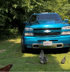 Tamco Paint Caribbean Current Pearl in 2007 Chevrolet Silverado