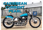 Tamco Paint Caribbean Current Pearl on motorcycle