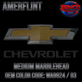 Tamco Paint Chevrolet Medium Marblehead Code WA9924 / 03 OEM Amerflint