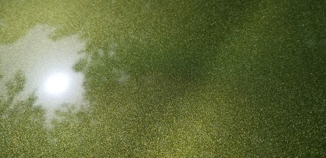 Tamco Paint Chrysler Ivy Green Metallic | F8 / 7557 | 1968-1971 | OEM Basecoat on Chevbrolet Corvette C6