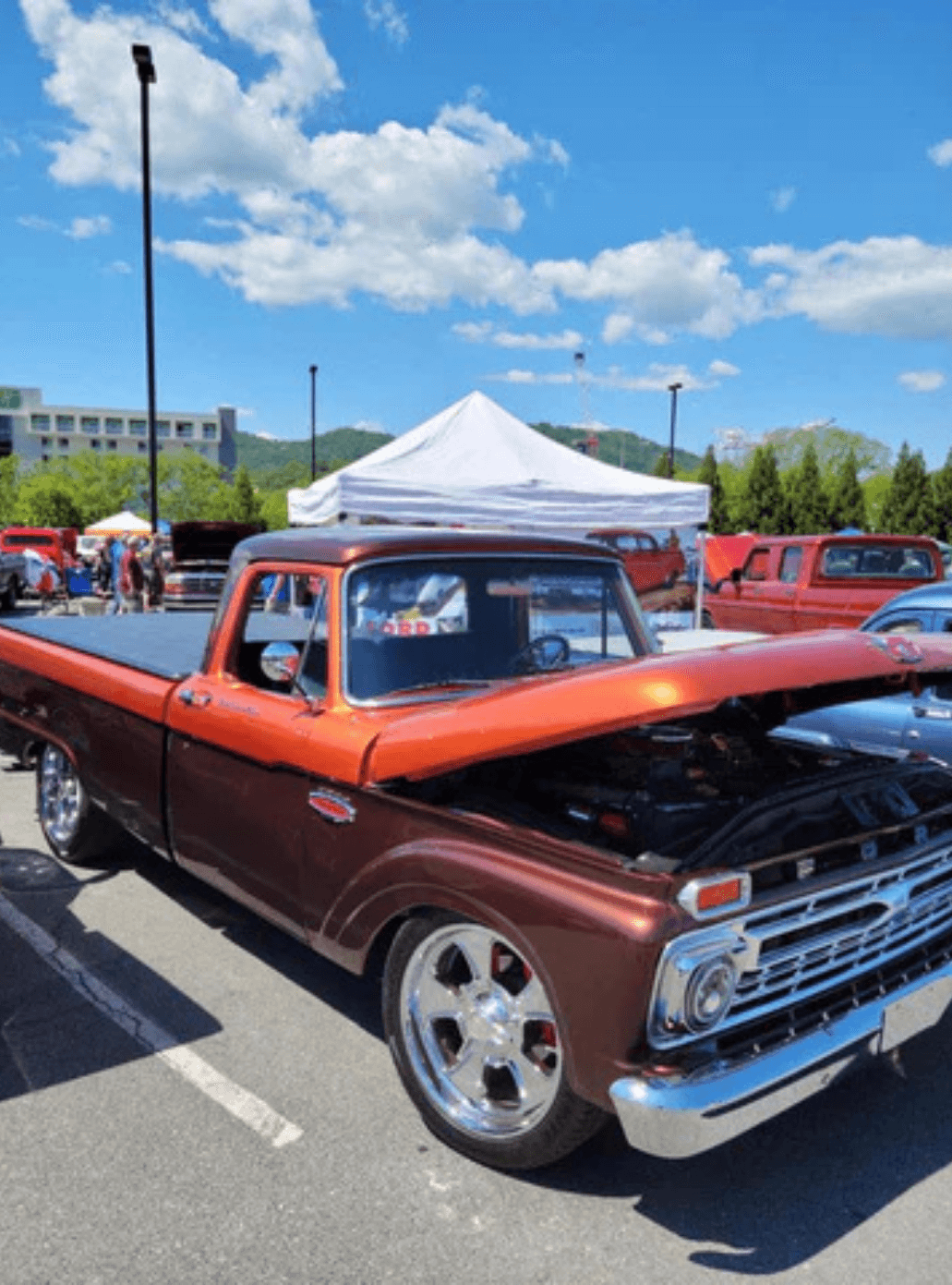Tamco Paint Cinnamon Pearl and Dirtbag Brown on 1966 Ford F100